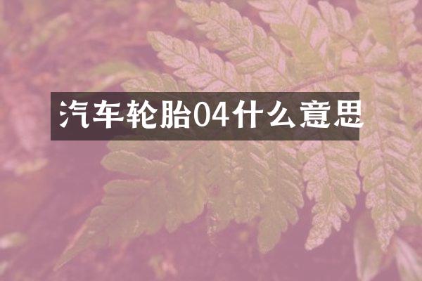 汽车轮胎04什么意思