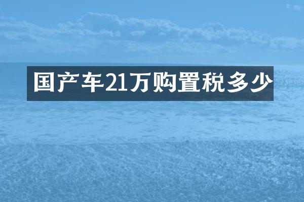 国产车21万购置税多少