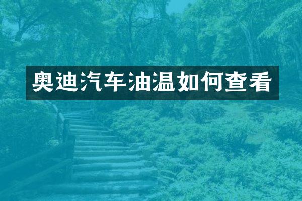 奥迪汽车油温如何查看