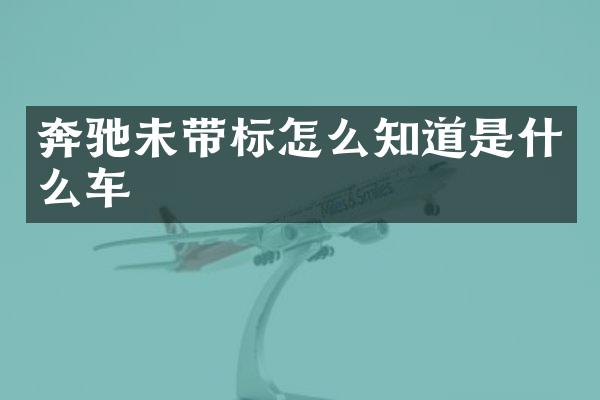 奔驰未带标怎么知道是什么车