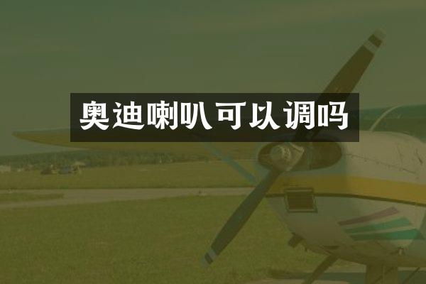 奥迪喇叭可以调吗
