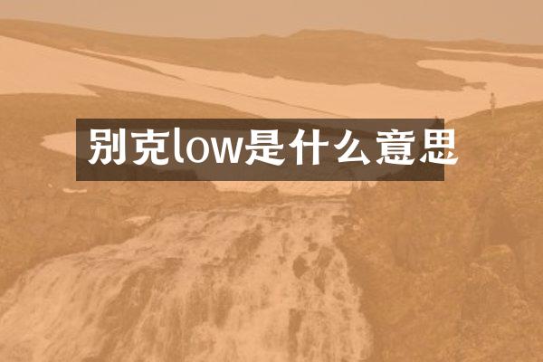 别克low是什么意思