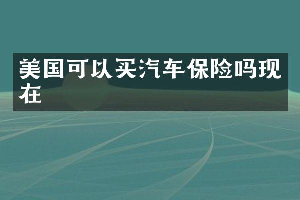 美国可以买汽车保险吗现在