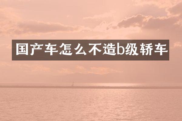 国产车怎么不造b级轿车