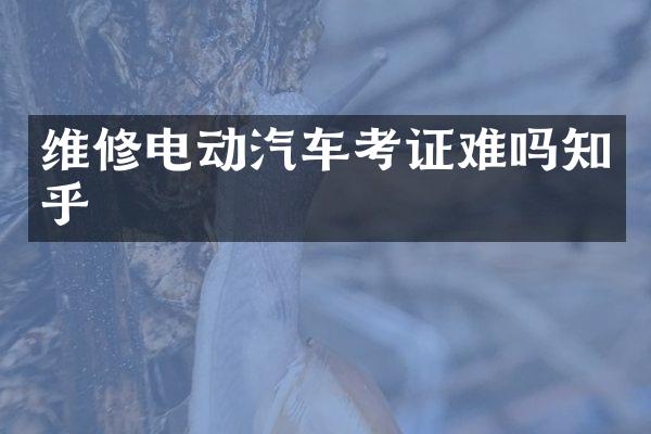 维修电动汽车考证难吗知乎