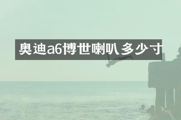 奥迪a6博世喇叭多少寸