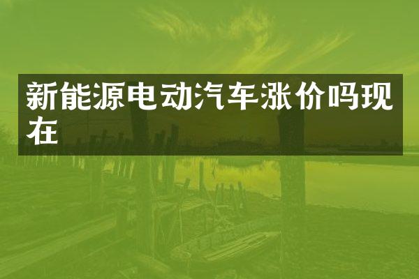 新能源电动汽车涨价吗现在