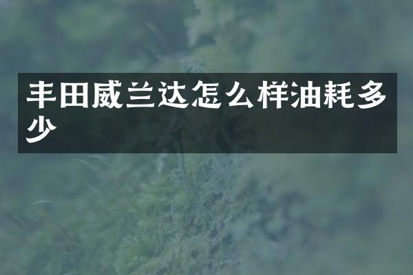 丰田威兰达怎么样油耗多少