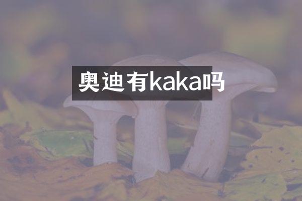 奥迪有kaka吗