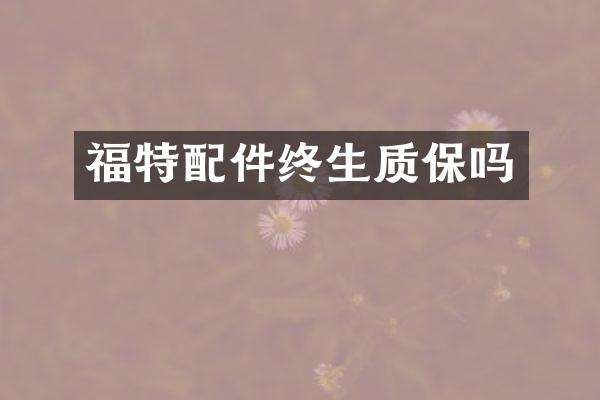 福特配件终生质保吗