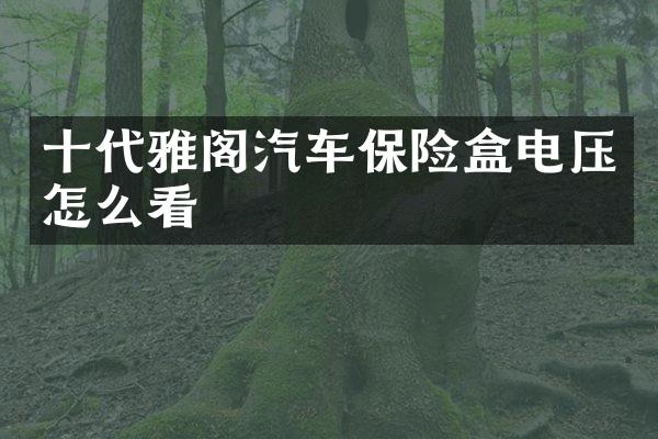 十代雅阁汽车保险盒电压怎么看