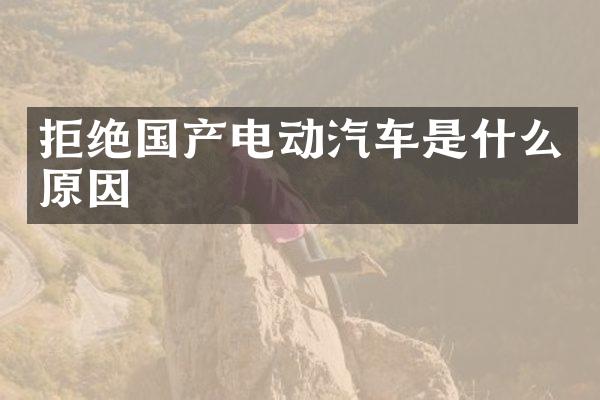 拒绝国产电动汽车是什么原因