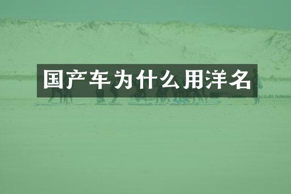 国产车为什么用洋名
