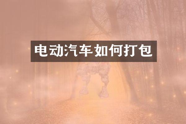 电动汽车如何打包