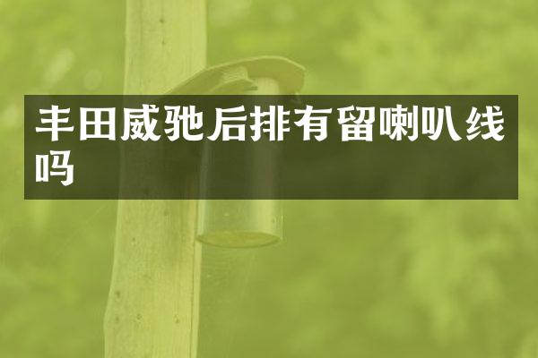 丰田威驰后排有留喇叭线吗