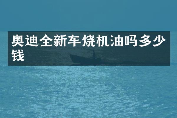 奥迪全新车烧机油吗多少钱