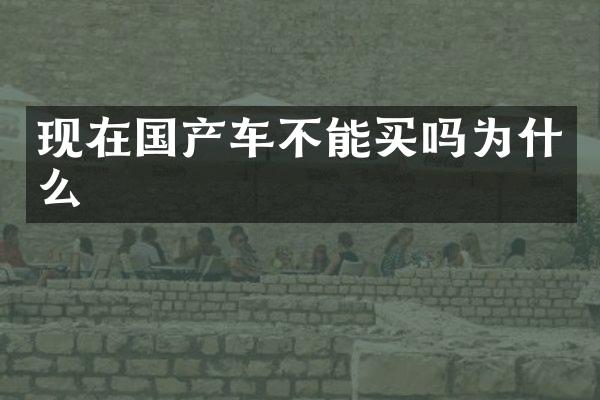 现在国产车不能买吗为什么
