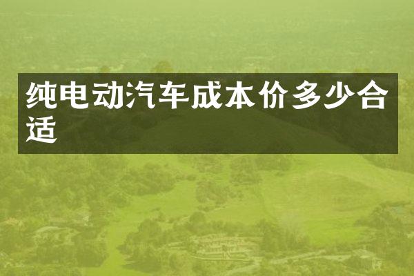 纯电动汽车成本价多少合适