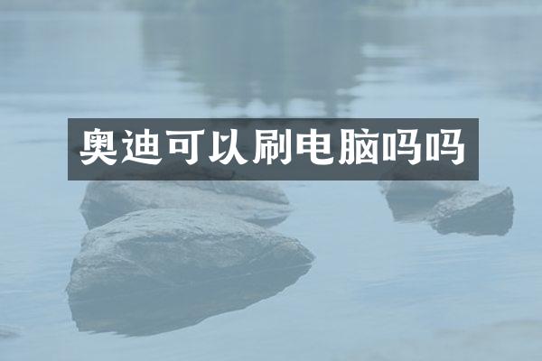 奥迪可以刷电脑吗吗