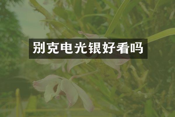 别克电光银好看吗
