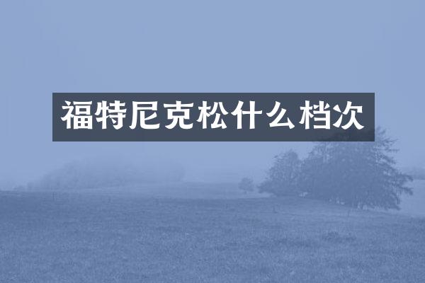 福特尼克松什么档次