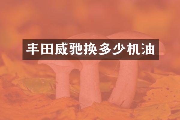 丰田威驰换多少机油