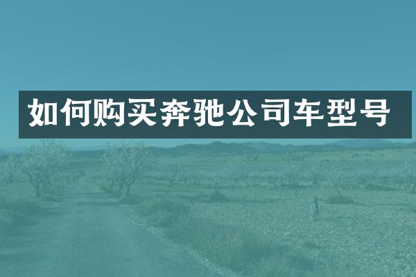 如何购买奔驰公司车型号