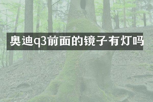 奥迪q3前面的镜子有灯吗