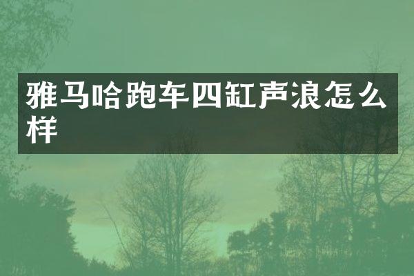 雅马哈跑车四缸声浪怎么样