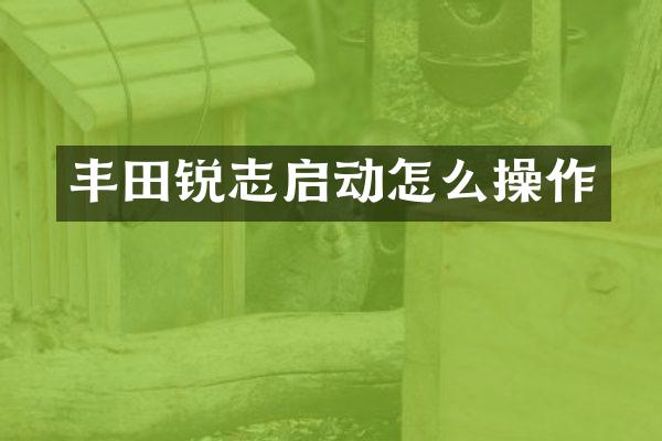 丰田锐志启动怎么操作