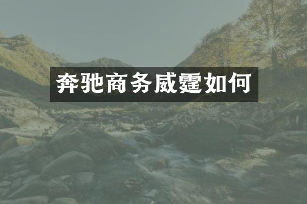 奔驰商务威霆如何