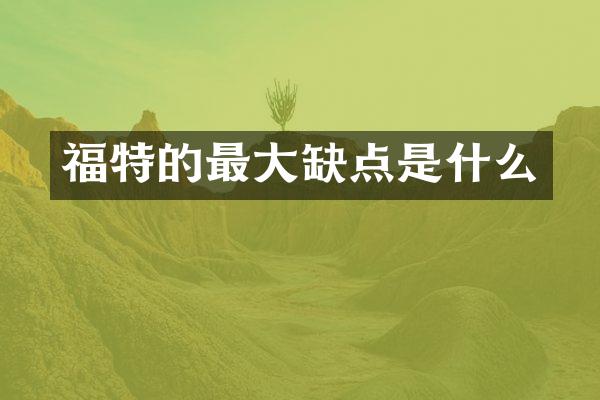福特的最大缺点是什么