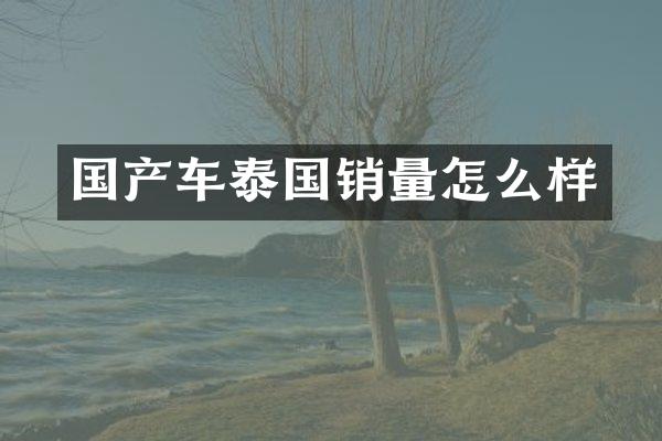 国产车泰国销量怎么样