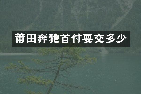 莆田奔驰首付要交多少