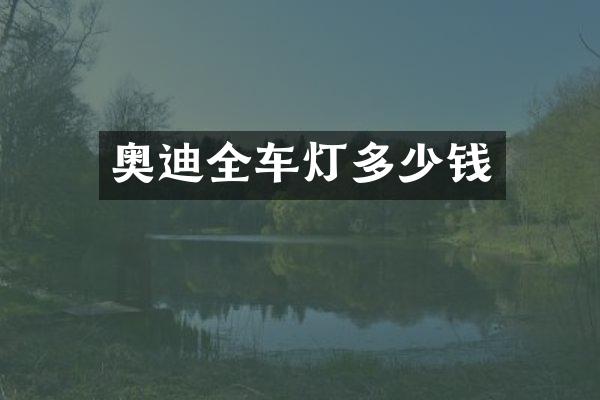 奥迪全车灯多少钱