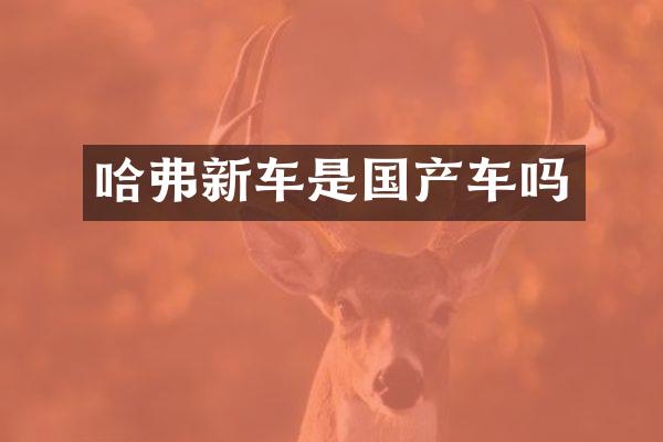 哈弗新车是国产车吗