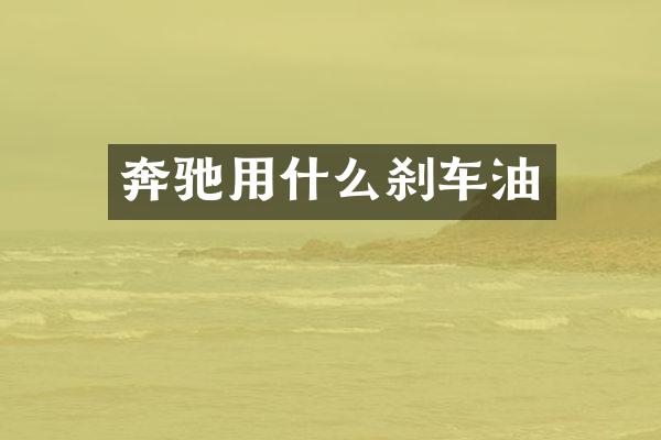 奔驰用什么刹车油