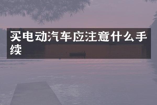 买电动汽车应注意什么手续