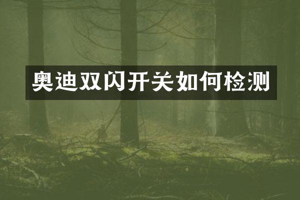 奥迪双闪开关如何检测