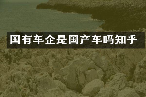 国有车企是国产车吗知乎