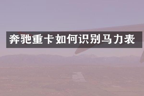 奔驰重卡如何识别马力表