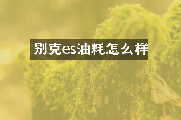 别克es油耗怎么样