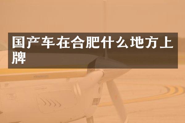 国产车在合肥什么地方上牌