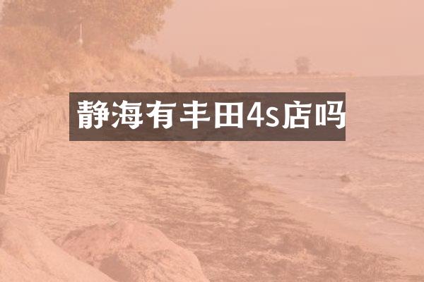 静海有丰田4s店吗