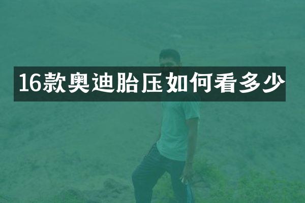 16款奥迪胎压如何看多少