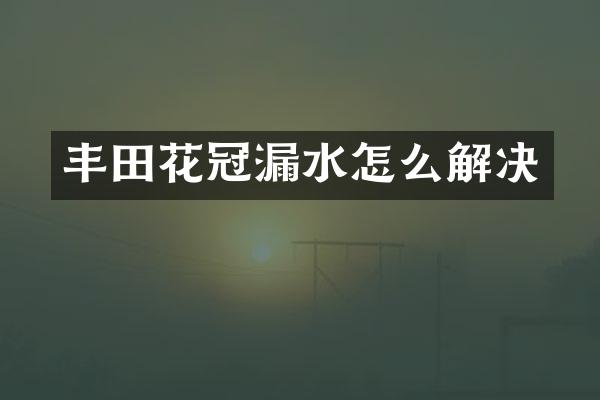 丰田花冠漏水怎么解决