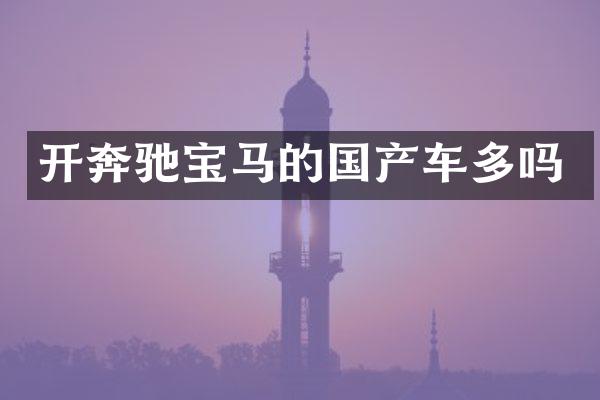开奔驰宝马的国产车多吗