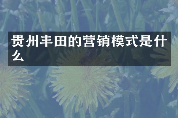 贵州丰田的营销模式是什么