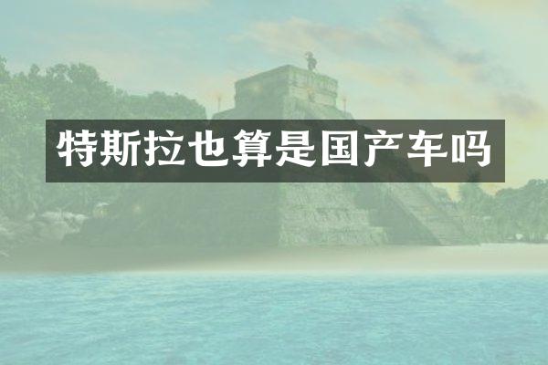 特斯拉也算是国产车吗