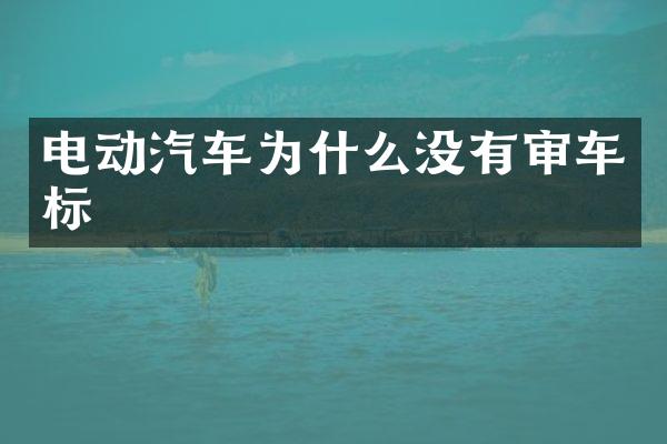 电动汽车为什么没有审车标